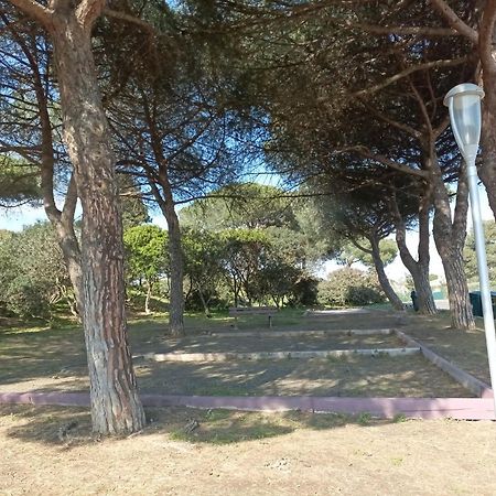 阿格德Lara 3 - T2 Loggia Piscine 2 Lits Doubles Parking Pres Du Centre-Port Et Ile Loisirs公寓 外观 照片